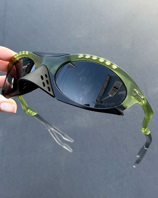 Plantaris Transparent Fern Black